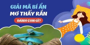 Mơ Thấy Rắn Lành Hay Dữ Và Đánh Con Gì Thắng Lớn?